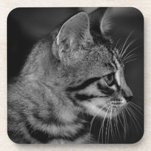 Dessous-de-verre Beau Kitten noir et blanc