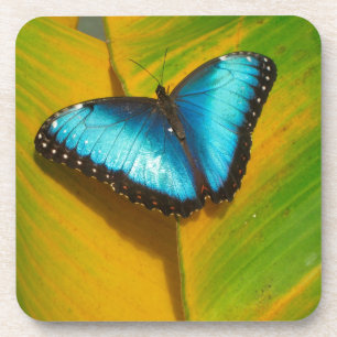 Dessous-de-verre Beau Papillon Iridescente