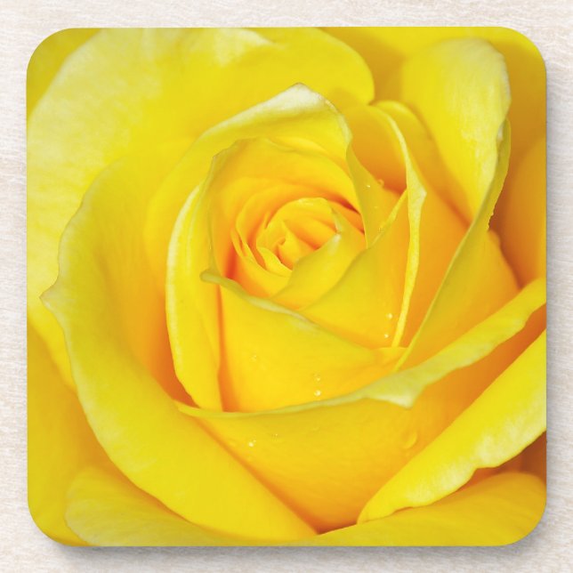 Dessous-de-verre Beau pétales de rose jaune (Devant)
