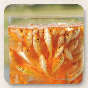 Dessous-de-verre Beaucoup poisson rouge qui sont dans le récipient