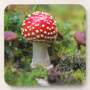 Dessous-de-verre Beauté d'automne