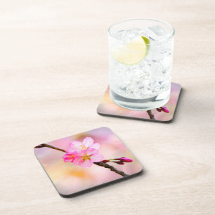 Dessous-de-verre Beautiful Sakura Cherry