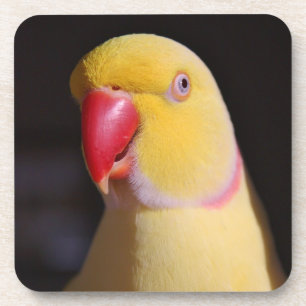 Dessous-de-verre Bec de perruche de Ringneck d'Indien de Lutino