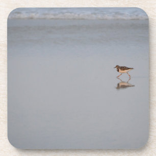 Dessous-de-verre Bécasseau Longeant La Plage