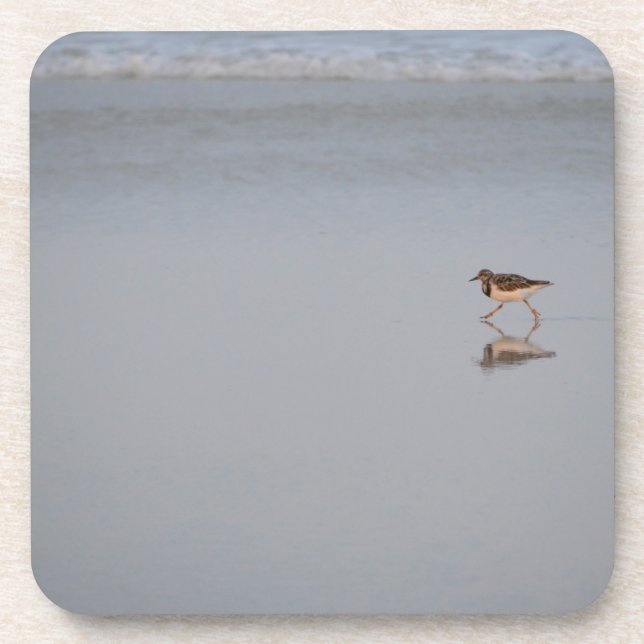 Dessous-de-verre Bécasseau Longeant La Plage (Devant)