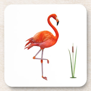 Dessous-de-verre Bel oiseau flamant rouge et plante de roseau sur f