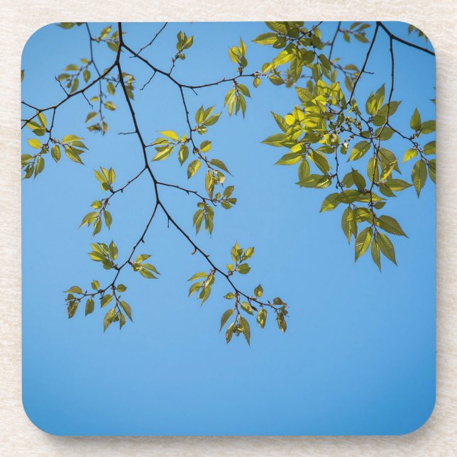 Dessous-de-verre belle branche avec serrure feuille verte et jaune (Devant)