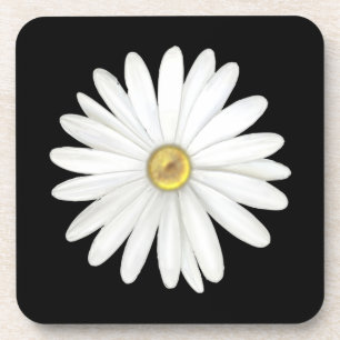 Dessous-de-verre Belle fleur de marguerite sur fond noir