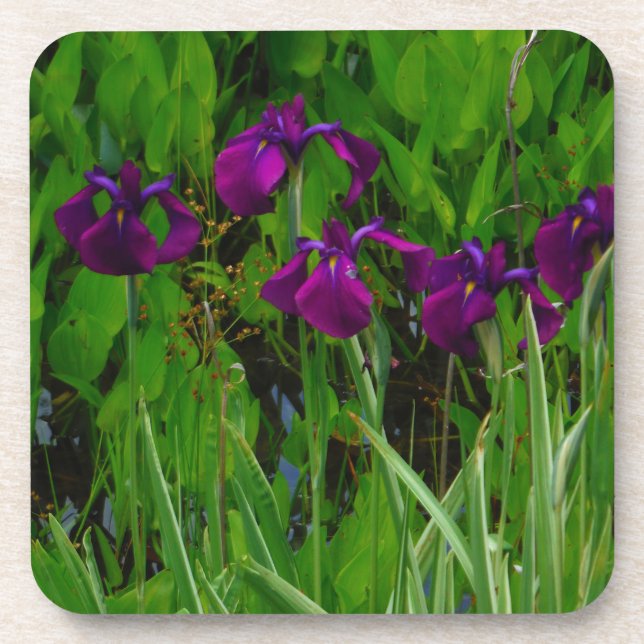 Dessous-de-verre Belle Iris Violet (Devant)