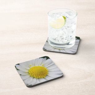 Dessous-de-verre Belle marguerite blanche