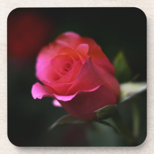 Dessous-de-verre Belle Rose Rouge