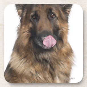 Dessous-de-verre Berger allemand