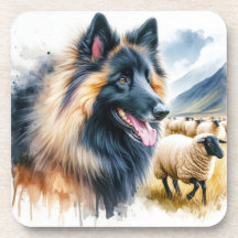 Berger belge Tervuren