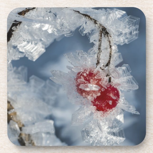 Dessous-de-verre Berry (Devant)