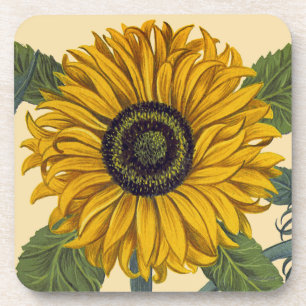 Dessous-de-verre Besler : Tournesol