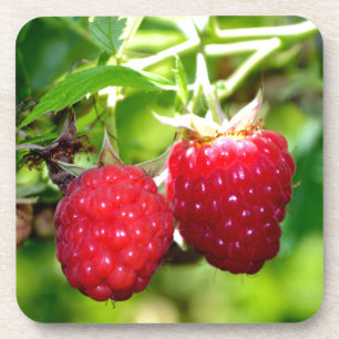 Dessous-de-verre Beurre mûre photo Framboises framboises