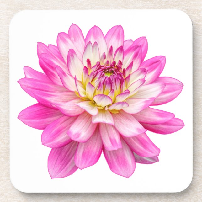 Dessous-de-verre Big Rose Dahlia (Devant)