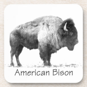 Dessous-de-verre Bison américain