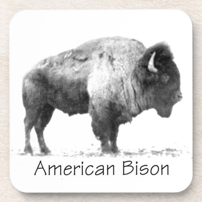 Dessous-de-verre Bison américain (Devant)