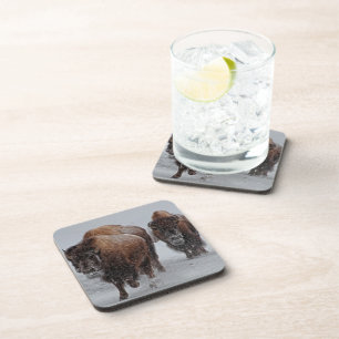 Dessous-de-verre Bison de Yellowstone