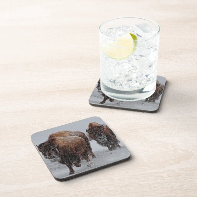 Dessous-de-verre Bison de Yellowstone (Côté Droit)