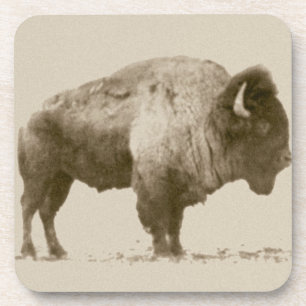 Dessous-de-verre Bison des plaines