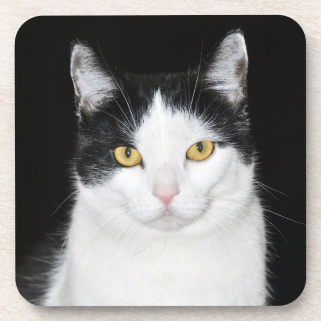 Dessous-de-verre Black and White Cat Portrait (Devant)
