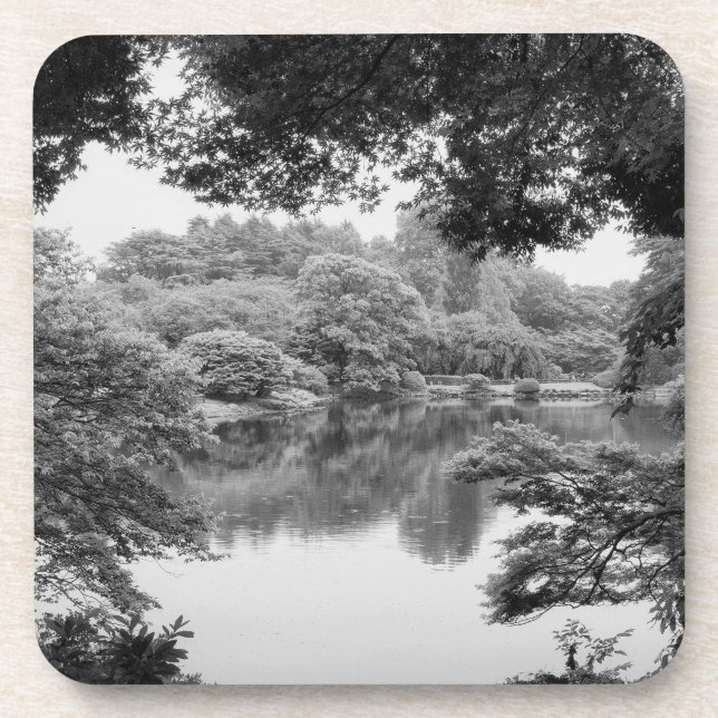Dessous-de-verre Black and white, cool, unique nature et lake (Devant)