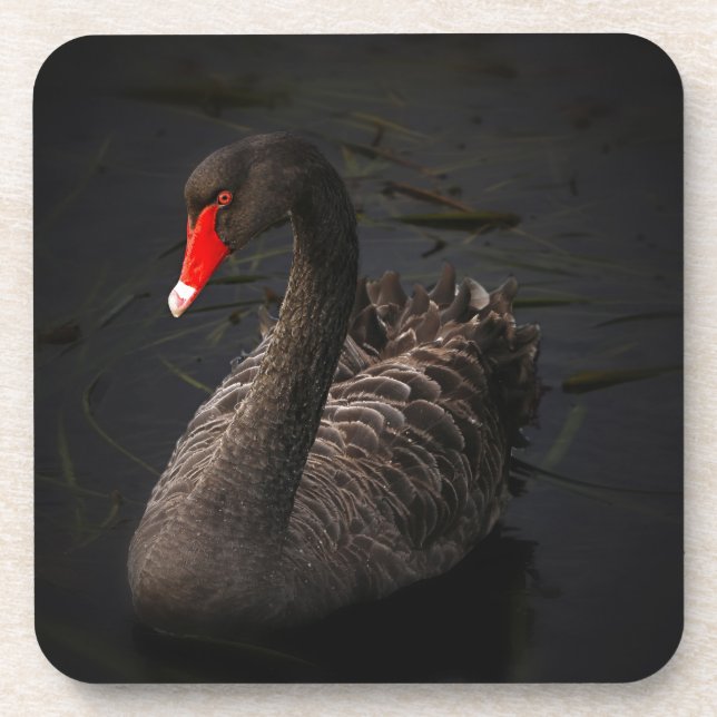 Dessous-de-verre Black Swan (Devant)