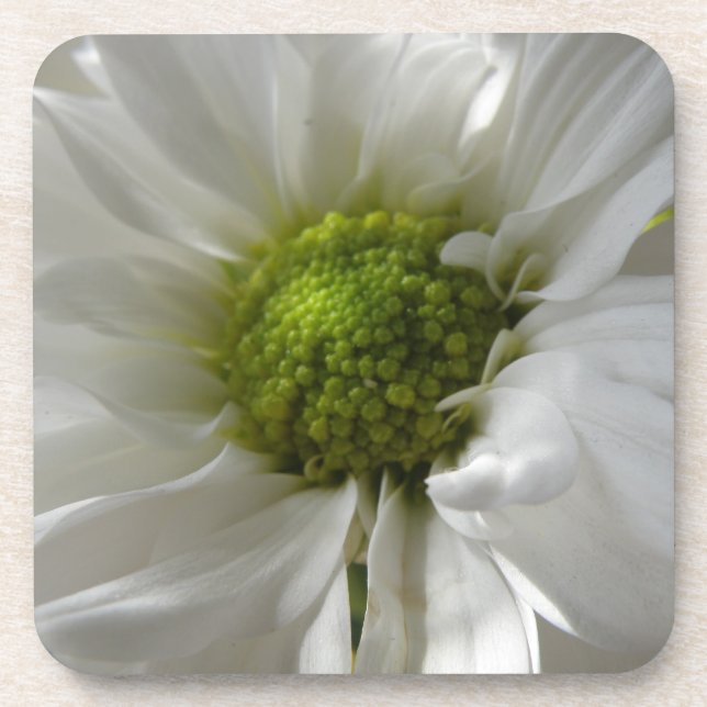 Dessous de verre blanc de liège Chrysanthemum (Devant)