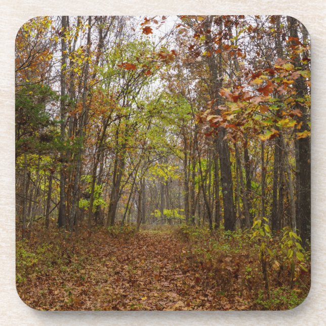 Dessous-de-verre Bliss d'automne (Devant)