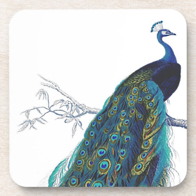 Dessous-de-verre Blue Peacock with beautiful tail feathers (Devant)