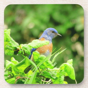 Dessous-de-verre Bluebird sur Corkvis Bush