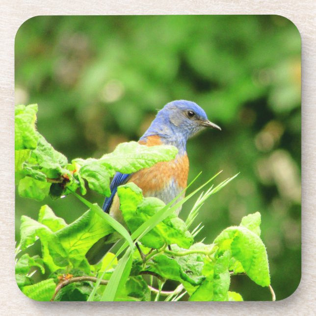 Dessous-de-verre Bluebird sur Corkvis Bush (Devant)