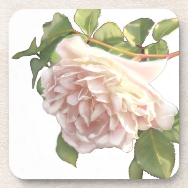 Dessous-de-verre Blushing Ivory Peach Rose (Devant)