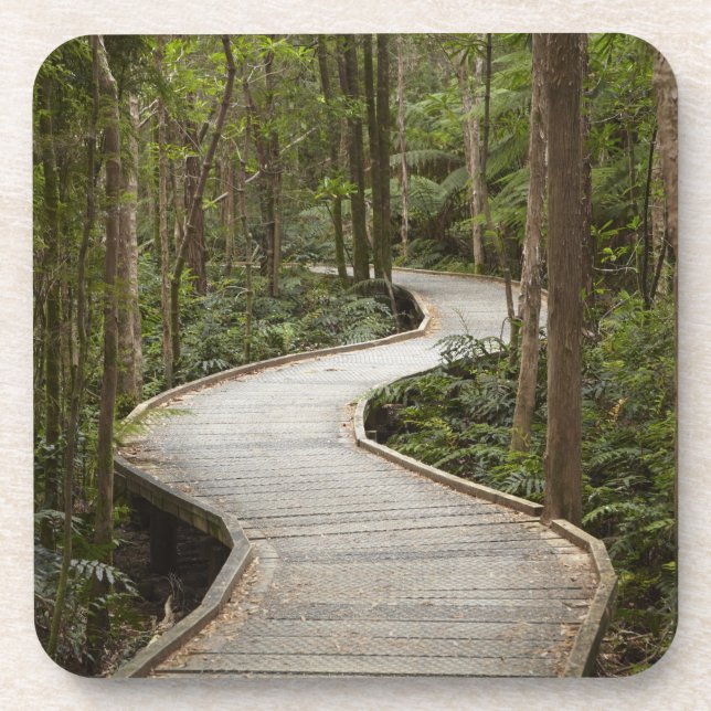 Dessous-de-verre Boardwalk to Nelson Falls, Franklin - Gordon (Devant)