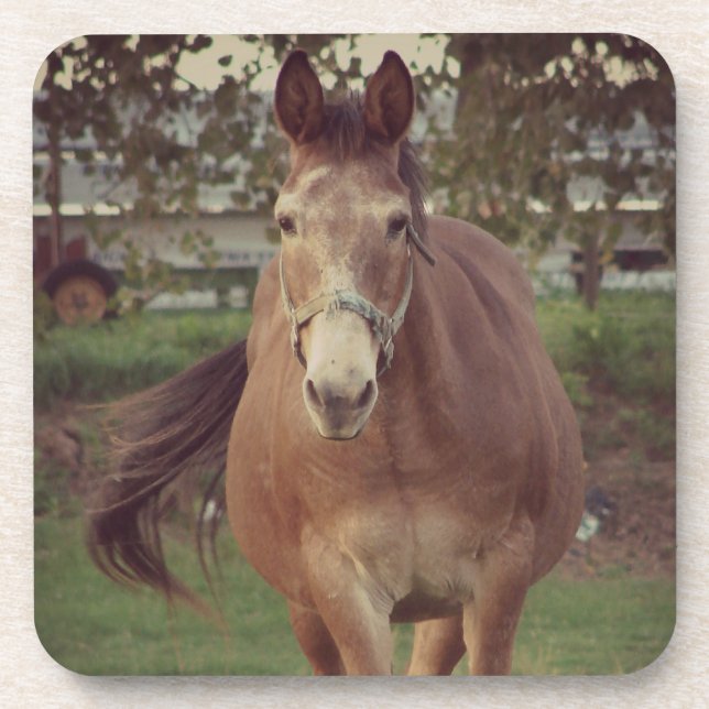 Dessous-de-verre Bonjour, je vous vois (Devant)