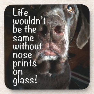 Dessous-de-verre Boop My Nose Chocolate Lab - photo de fond