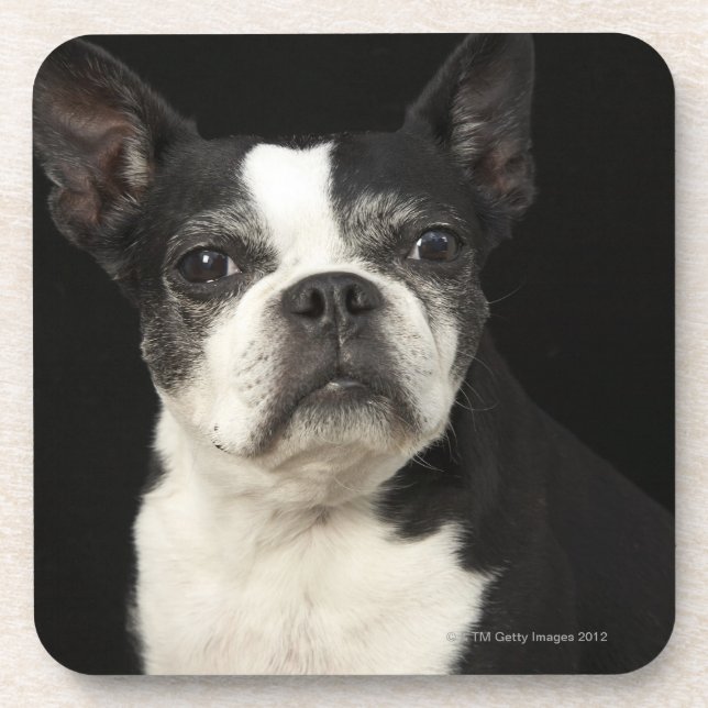 Dessous-de-verre Bosten plus ancien Terrier sur l'arrière - plan (Devant)