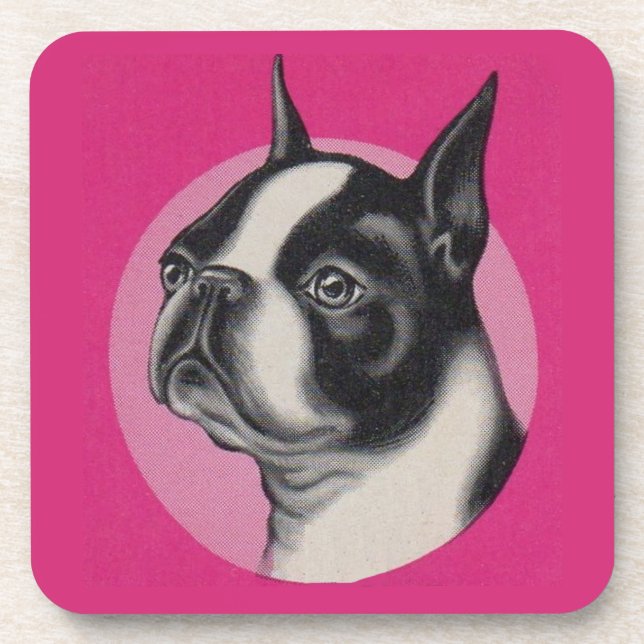 Dessous-de-verre Boston terrier (Devant)