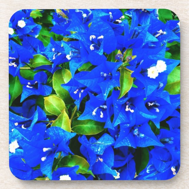 Dessous-de-verre Bougainvilliers bleus vifs Fleurs (Devant)