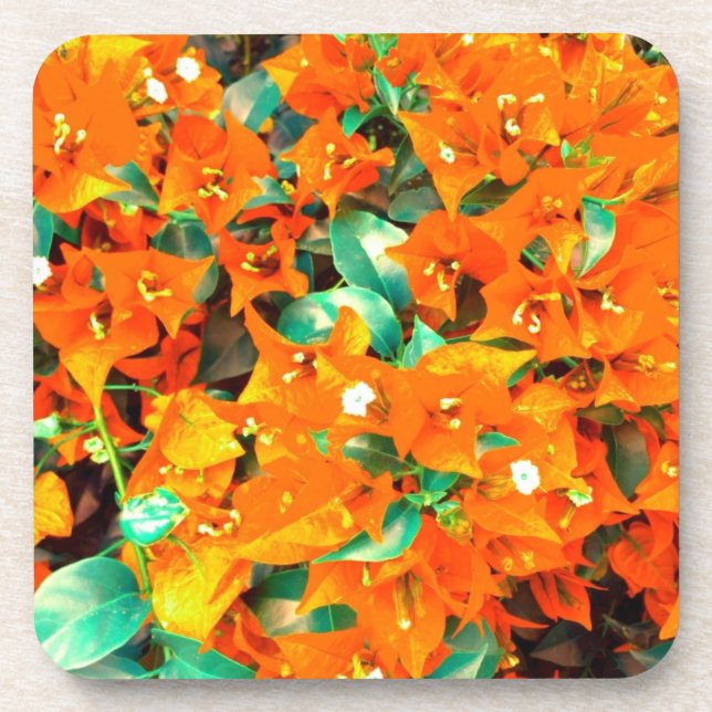 Dessous-de-verre Bougainvilliers orange vif (Devant)