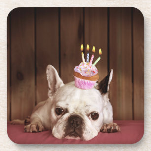 Dessous-de-verre Bouledogue français avec le petit gâteau