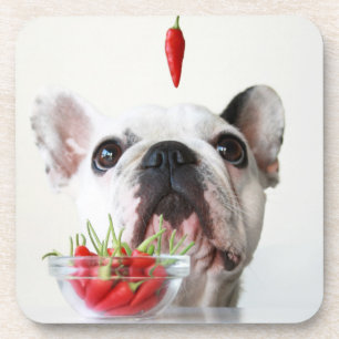 Dessous-de-verre Bouledogue français regardant un poivron rouge