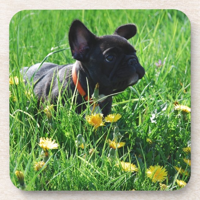 Dessous-de-verre Bouledogue français sur pelouse (Devant)
