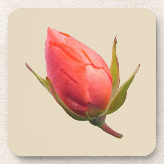 Dessous-de-verre Bourgeon de rose rose (Devant)