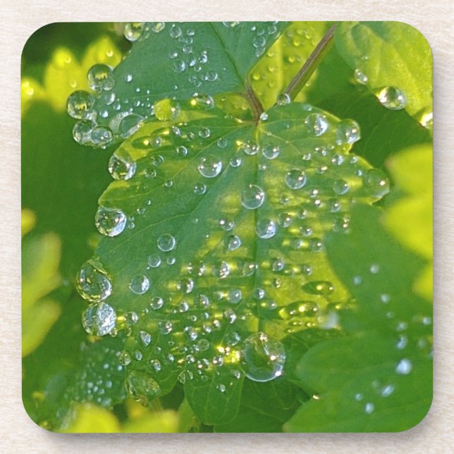 Dessous-de-verre Boutons cool Sur Feuille Verte (Devant)