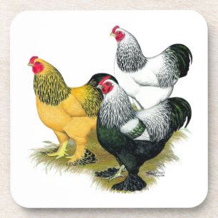 Dessous-de-verre Brahmas trois coqs