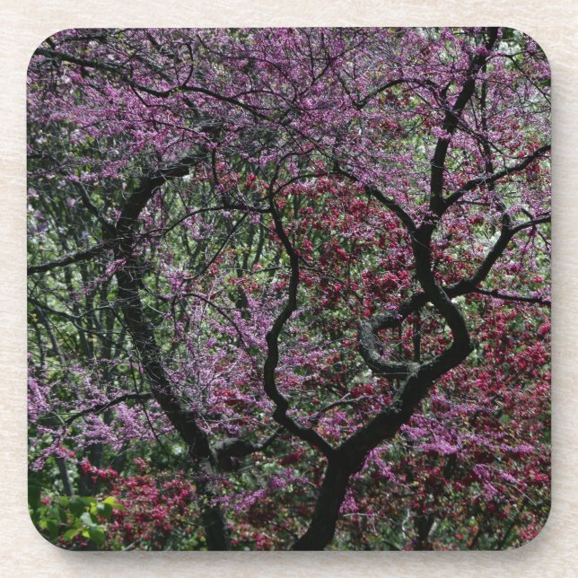 Dessous-de-verre Branches et fleurs (Devant)