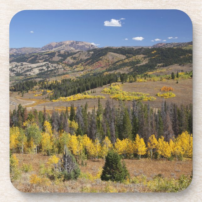 Dessous-de-verre Bridger-Teton National Forest (Devant)